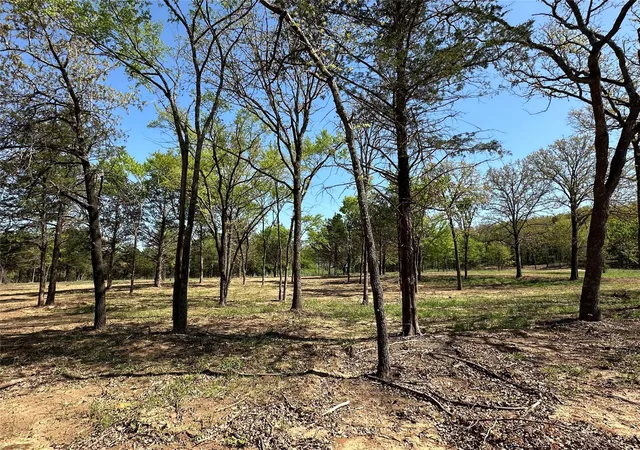Homes for sale in Gainesville, TX | Tbd Lot 5 Cr 194, Gainesville, TX 76240 | MLS# 21288465