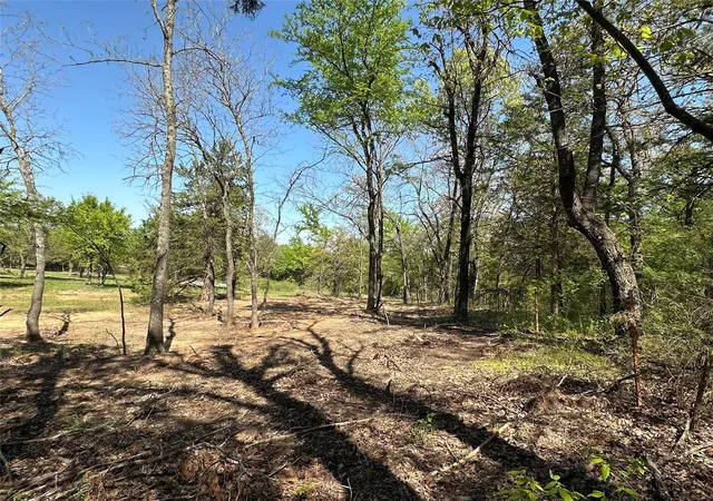 Homes for sale in Gainesville, TX | Tbd Lot 5 Cr 194, Gainesville, TX 76240 | MLS# 21288465