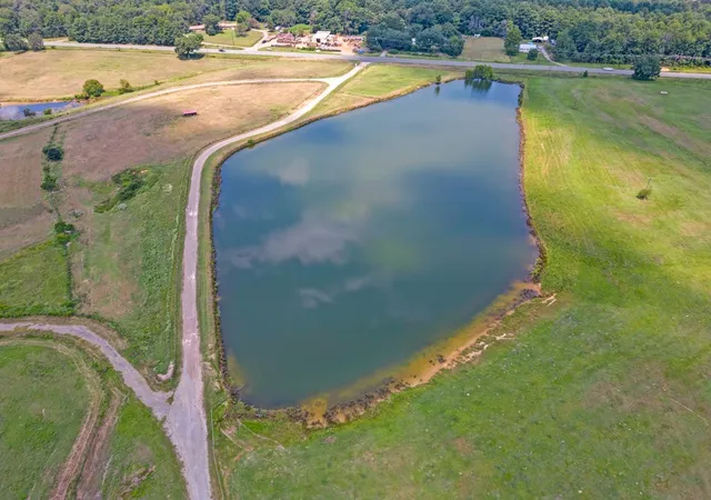 Homes for sale in Ore City, TX | 14702 State Hwy 155 N, Ore City, TX 75683 | MLS# 21288508