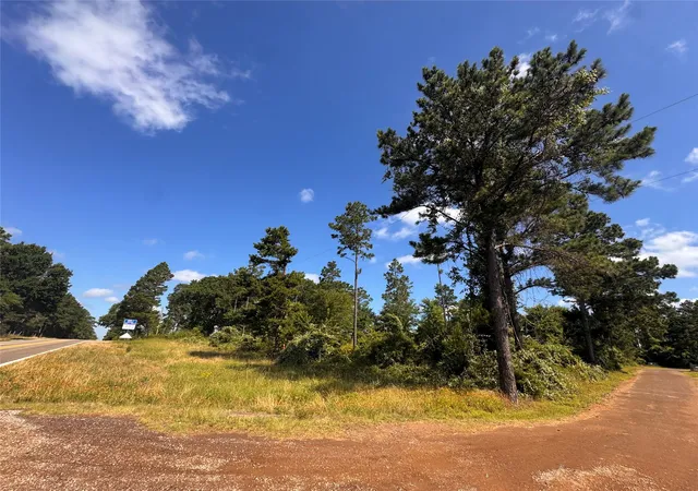 Homes for sale in Elkhart, TX | 0000 W State Hwy 294, Elkhart, TX 75839 | MLS# 21288565