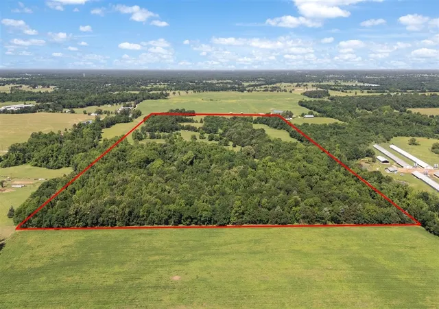 Photo 2 of Land for sale at Tbd County Road 2395, Winnsboro, TX 75494 | MLS# 21288778 | Listing updated on 2026-07-07