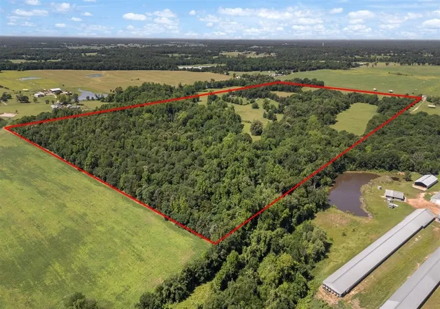 Photo 3 of Land for sale at Tbd County Road 2395, Winnsboro, TX 75494 | MLS# 21288778 | Listing updated on 2026-07-07