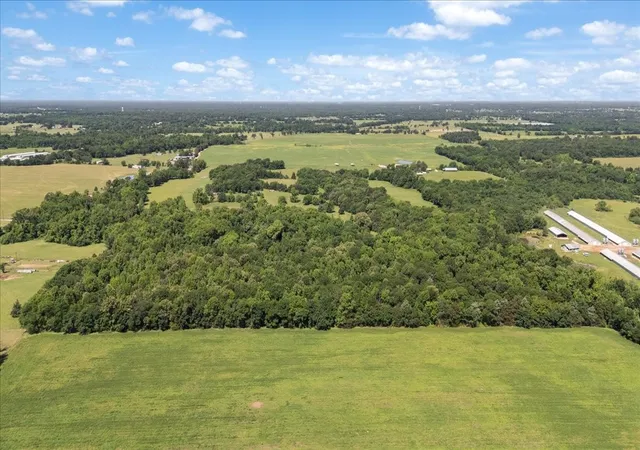 Photo 4 of Land for sale at Tbd County Road 2395, Winnsboro, TX 75494 | MLS# 21288778 | Listing updated on 2026-07-07