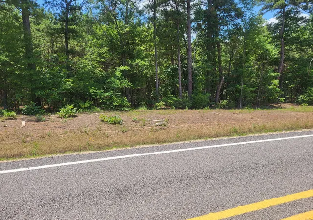 Homes for sale in Bagwell, TX | Tbd Fm 2120 Hwy, Bagwell, TX 75412 | MLS# 21288181