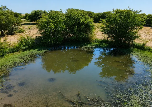 Photo 4 of Land for sale at 4008 Rolling Ln, Greenville, TX 75401 | MLS# 21288827 | Listing updated on 2026-10-03