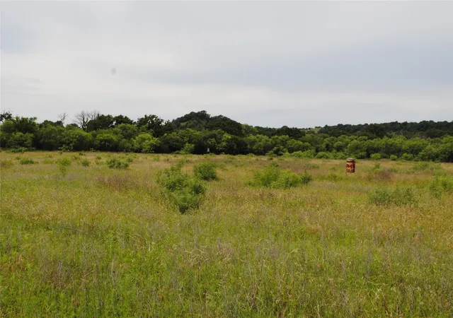 Homes for sale in Rising Star, TX | Tbd Cr 127, Rising Star, TX 76857 | MLS# 21287575