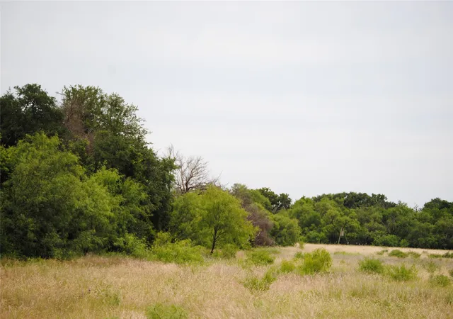 Homes for sale in Rising Star, TX | Tbd Cr 127, Rising Star, TX 76857 | MLS# 21287575