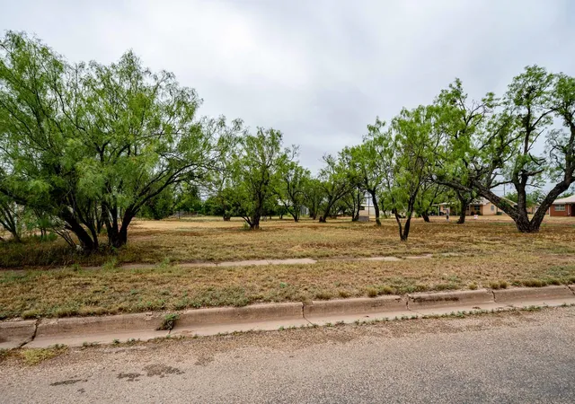 Homes for sale in Anson, TX | Tbd Ave I, Anson, TX 79501 | MLS# 21289548