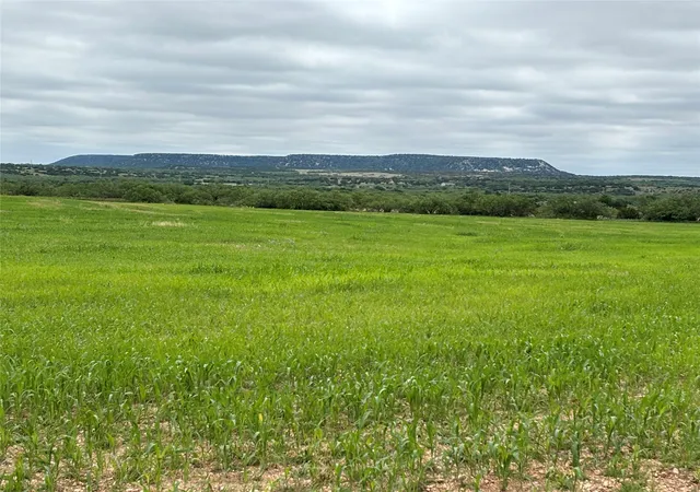 Homes for sale in Winters, TX | 202 County Road 312, Winters, TX 79567 | MLS# 21289900