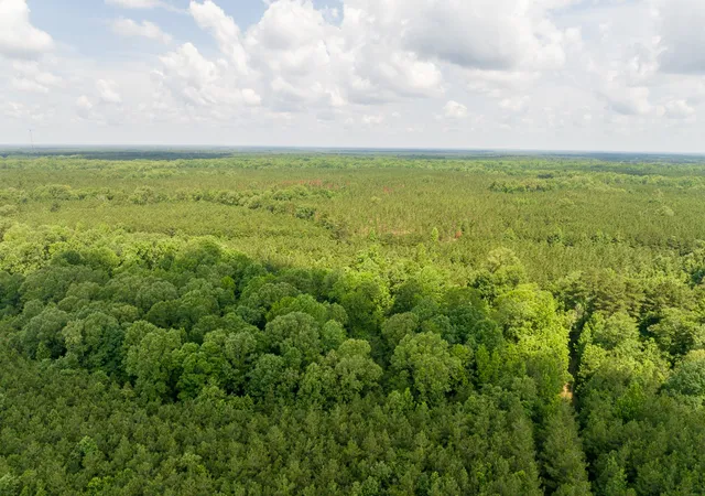 20th image of 1 Hwy 126, Jena, LA 71465 | MLS# 21289955