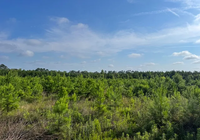 Homes for sale in Pitkin, LA | T-1 Ellis West Road, Pitkin, LA 70656 | MLS# 21289996