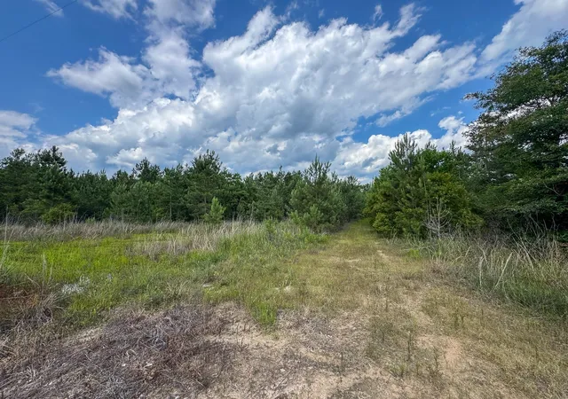 5th image of 0 Hwy 27, Lake Charles, LA 70633 | MLS# 21290062