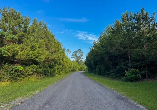 Homes for sale in Pitkin, LA | T-1 Dido Loop, Pitkin, LA 70656 | MLS# 21290077