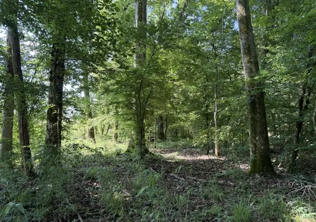 1st image of 949 Ford Rd, Homer, LA 71040 | MLS# 21289751
