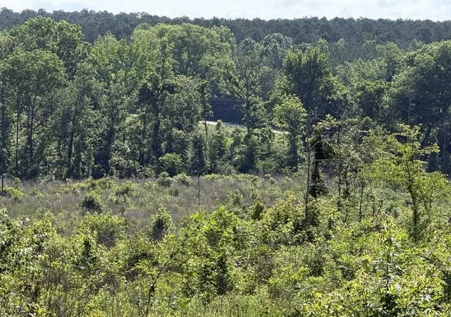 2nd image of 949 Ford Rd, Homer, LA 71040 | MLS# 21289751