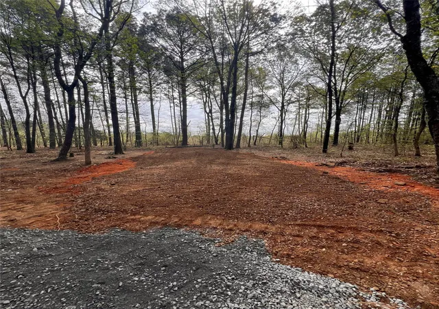 3rd image of 26819 Hwy 157, Shongaloo, LA 71072 | MLS# 21288619