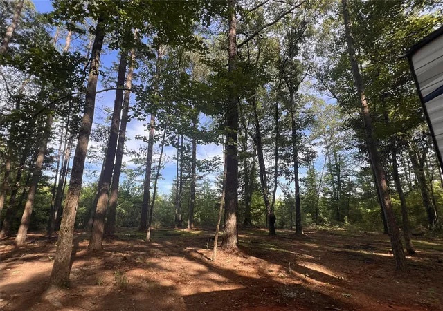 4th image of 26819 Hwy 157, Shongaloo, LA 71072 | MLS# 21288619