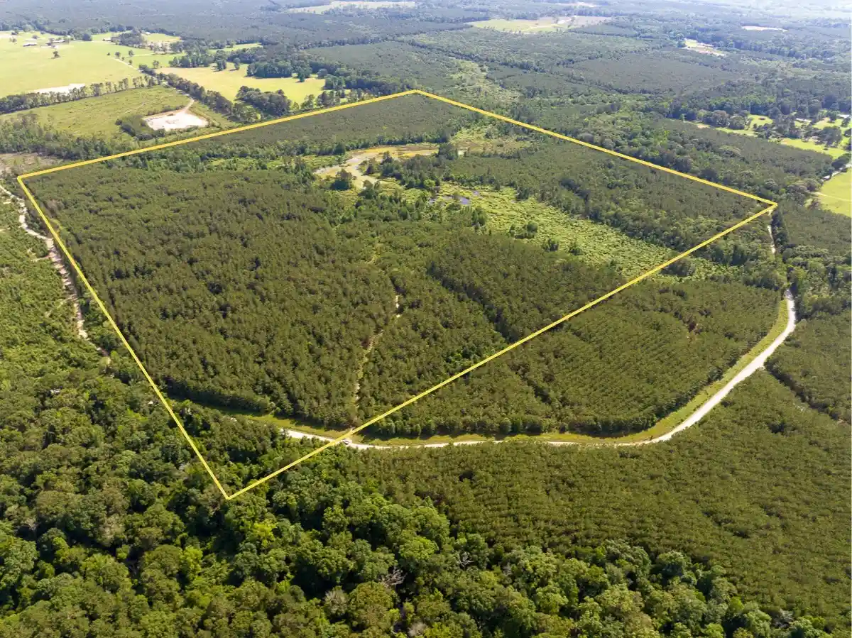 Photo 1 of Land for sale at 0 Ferguson Road, Coushatta, LA 71019 | MLS# 21290462 | Listing updated on 2026-06-04