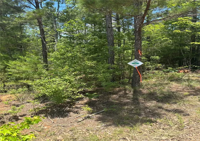 2nd image of 00 Maxey, Haynesville, LA 71035 | MLS# 21290358