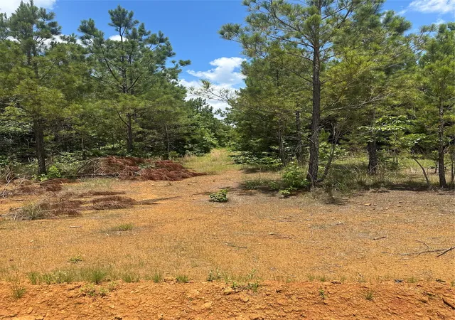 4th image of 00 Maxey, Haynesville, LA 71035 | MLS# 21290358