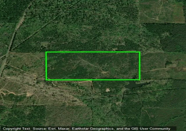 6th image of 00 Maxey, Haynesville, LA 71035 | MLS# 21290358