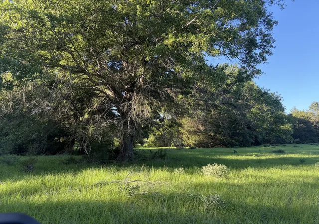 Photo 1 of Land for sale at 289 Fcr 216, Oakwood, TX 75855 | MLS# 21289860 | Listing updated on 2026-08-18