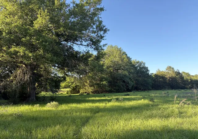 Photo 3 of House for sale at 289 Fcr 216, Oakwood, TX 75855 | MLS# 21289860 | Listing updated on 2026-08-18