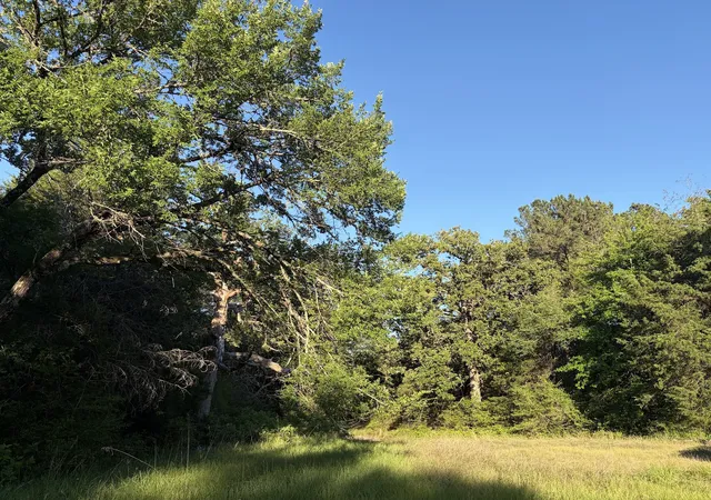 Photo 4 of House for sale at 289 Fcr 216, Oakwood, TX 75855 | MLS# 21289860 | Listing updated on 2026-08-18