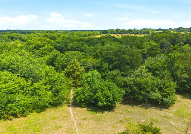 Homes for sale in Greenville, TX | Tbd Fm 2736, Greenville, TX 75401 | MLS# 21290058