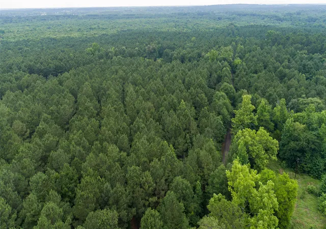 Photo 1 of Land for sale at Tbd Cr 4510, Pittsburg, TX 75686 | MLS# 21290827 | Listing updated on 2026-08-24