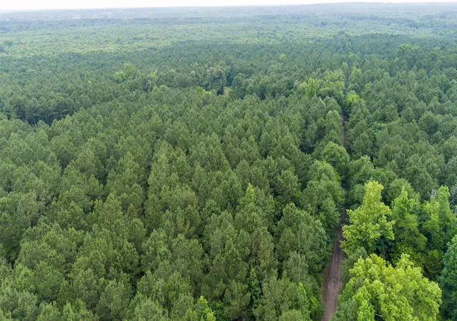 Photo 2 of Land for sale at Tbd Cr 4510, Pittsburg, TX 75686 | MLS# 21290827 | Listing updated on 2026-08-24