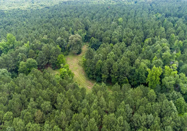 Photo 3 of Land for sale at Tbd Cr 4510, Pittsburg, TX 75686 | MLS# 21290827 | Listing updated on 2026-08-24
