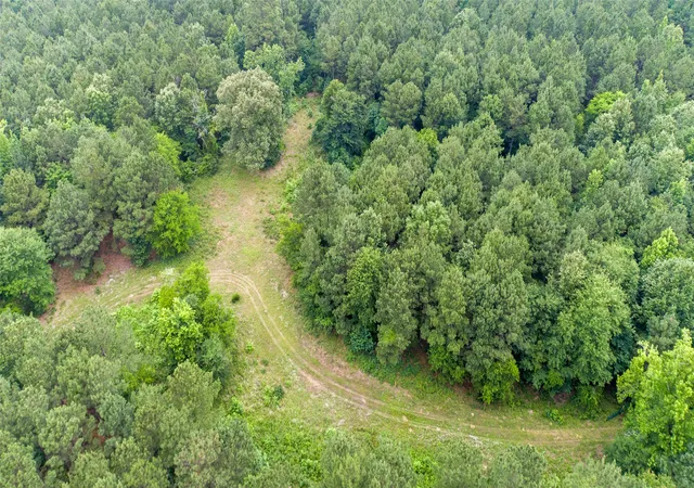 Photo 3 of Land for sale at Tbd Cr 4510, Pittsburg, TX 75686 | MLS# 21290827 | Listing updated on 2026-08-24