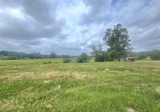 Homes for sale in Arp, TX | Tbd County Road 246, Arp, TX 75750 | MLS# 21290979
