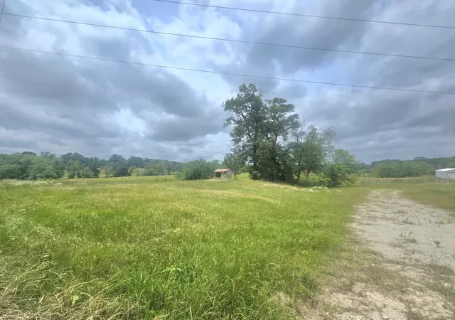 Homes for sale in Arp, TX | Tbd County Road 246, Arp, TX 75750 | MLS# 21290979