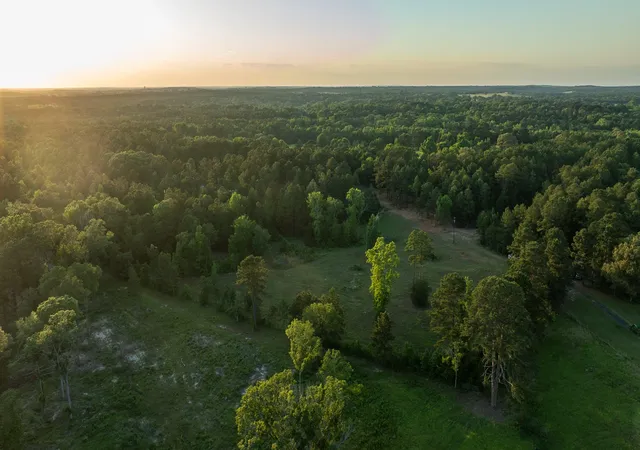 Homes for sale in Arp, TX | 22924 County Road 223, Arp, TX 75750 | MLS# 21289799