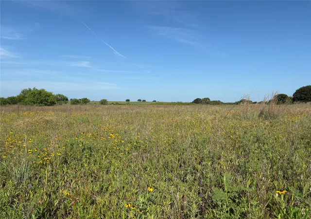 Homes for sale in Gorman, TX | 16 Acres Tbd Fm 571, Gorman, TX 76454 | MLS# 21288980