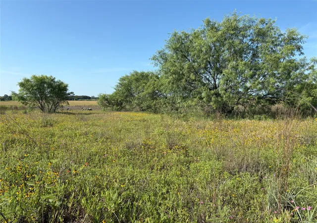 Homes for sale in Gorman, TX | 16 Acres Tbd Fm 571, Gorman, TX 76454 | MLS# 21288980