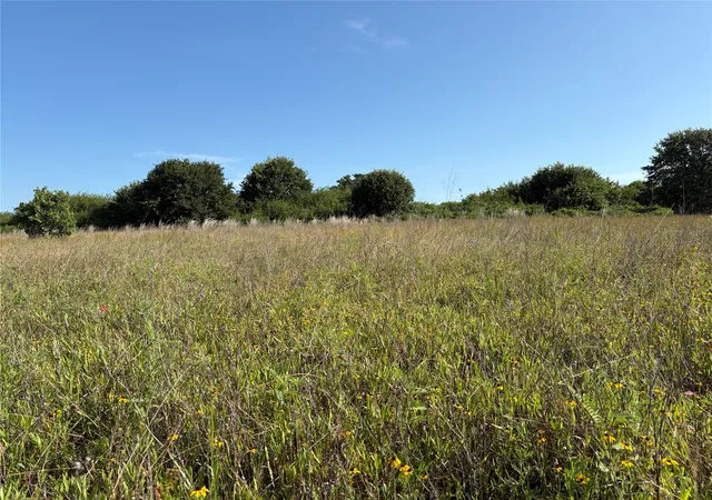 Homes for sale in Gorman, TX | 16 Acres Tbd Fm 571, Gorman, TX 76454 | MLS# 21288980