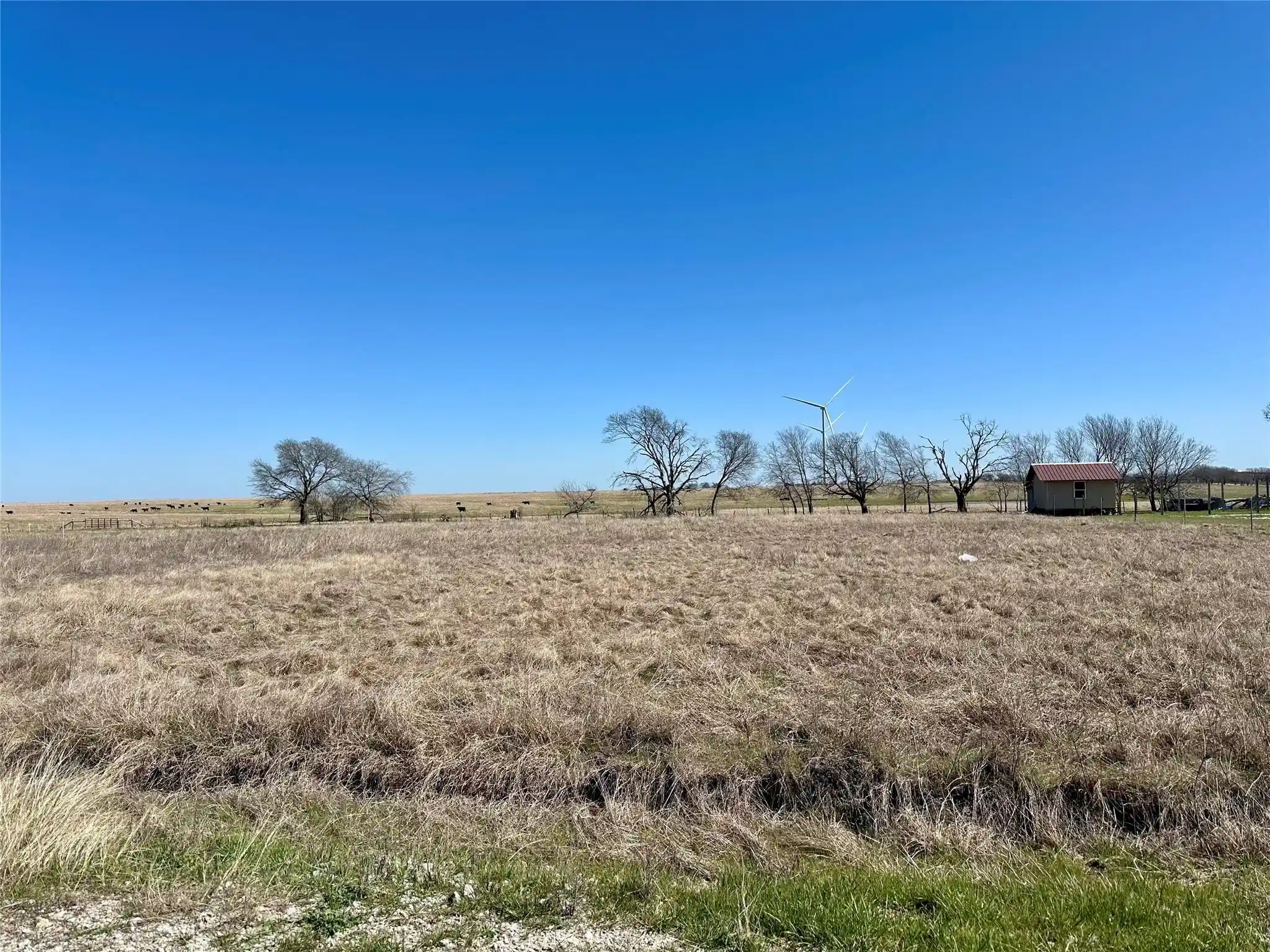 Land for sale at Lot 41 Sw County Rd 4170, Dawson, TX 76639 | MLS# 21291135