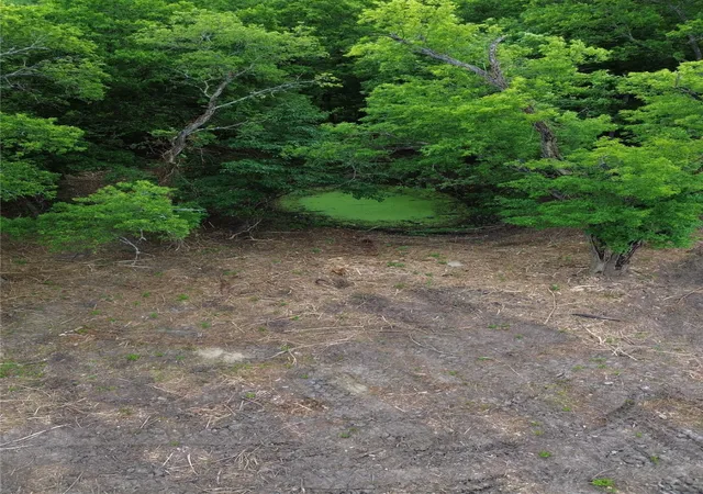 Photo 3 of Land for sale at Tbd Eastman, Ladonia, TX 75449 | MLS# 21291161 | Listing updated on 2026-08-03