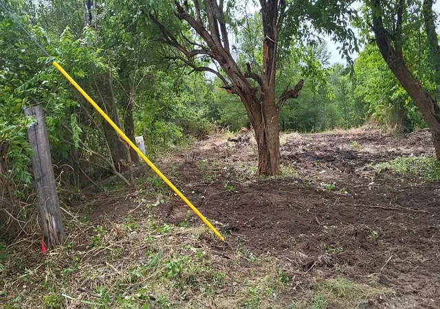 Photo 4 of Land for sale at Tbd Eastman, Ladonia, TX 75449 | MLS# 21291161 | Listing updated on 2026-08-03