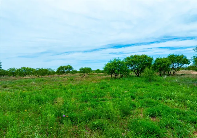 Homes for sale in Merkel, TX | 13450 County Road 440, Merkel, TX 79536 | MLS# 21291193