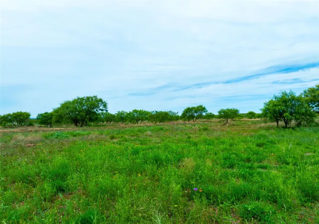 Homes for sale in Merkel, TX | 13450 County Road 440, Merkel, TX 79536 | MLS# 21291193