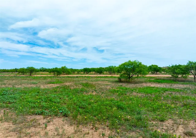 Homes for sale in Merkel, TX | 13450 County Road 440, Merkel, TX 79536 | MLS# 21291193