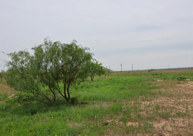 Homes for sale in Merkel, TX | 13558 County Road 440, Merkel, TX 79536 | MLS# 21291199