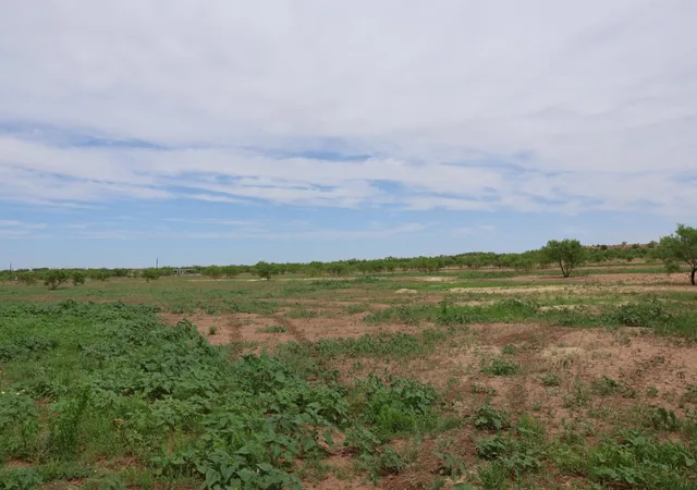 Homes for sale in Merkel, TX | 13558 County Road 440, Merkel, TX 79536 | MLS# 21291199