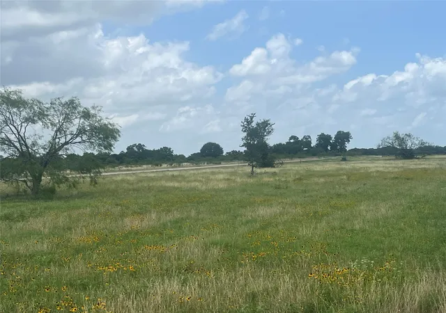 Photo 19 of Land for sale at Lot 87 Stillwater Shores Dr, Corsicana, TX 75109 | MLS# 21291195 | Listing updated on 2026-07-22