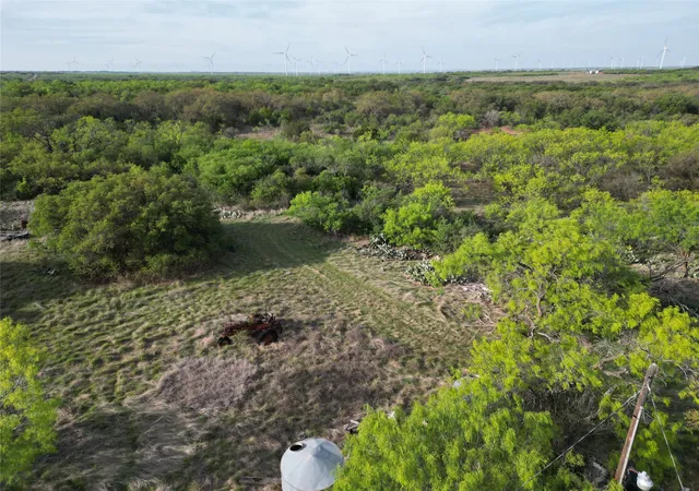 Homes for sale in Cisco, TX | 502 Co Rd 127, Cisco, TX 76437 | MLS# 21291258