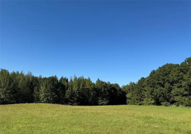 Homes for sale in Clarksville, TX | Tbd Fm-1159, Clarksville, TX 75426 | MLS# 21290652